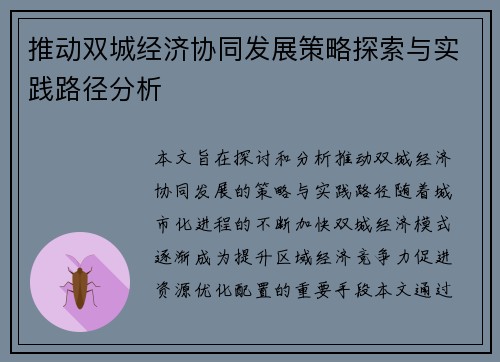 推动双城经济协同发展策略探索与实践路径分析